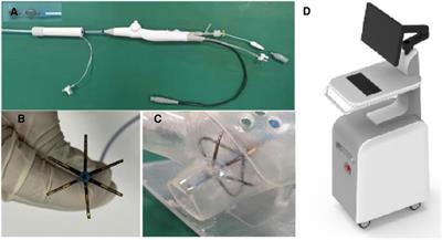 Study on the process of cardiomyocyte apoptosis after pulsed field ablation